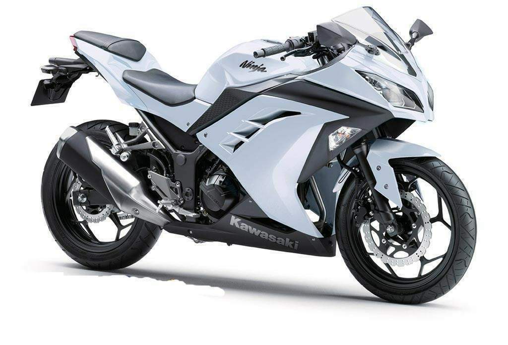Kawasaki 300 (2013) technical specifications